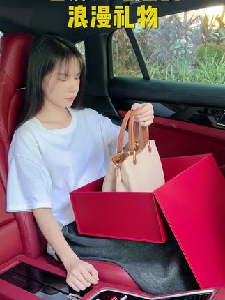 自带优雅大气的手提包,背上身洋气显气质#viney女包 #美包分享 #包包推荐 #女包 #手提包 #夏日出游包显眼的