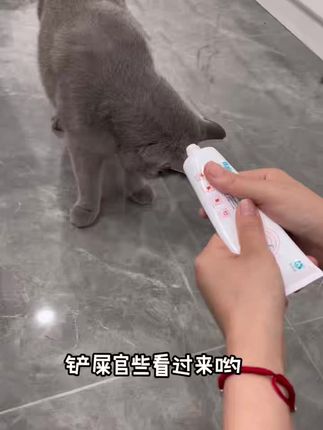 关爱猫咪🐱从温和排毛开始,布尔猫咪化毛膏营养+化毛棒棒哒🎊