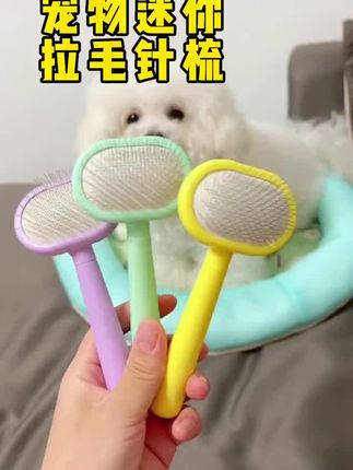 宠物迷你拉毛针梳马卡龙色美容蓬毛针刷狗梳子去浮毛开结宠物用品#超便宜超划算 #浮毛梳 #修毛神器