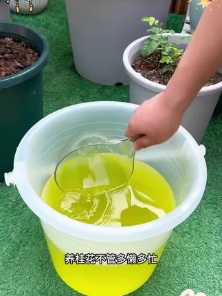 经常浇水花儿还是养不好?那是因为缺了氮磷钾等微量元素。快用这种枯草芽孢杆菌,轻松解决。
