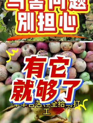 种植户朋友注意了!现在防鸟不用那么麻烦了!
