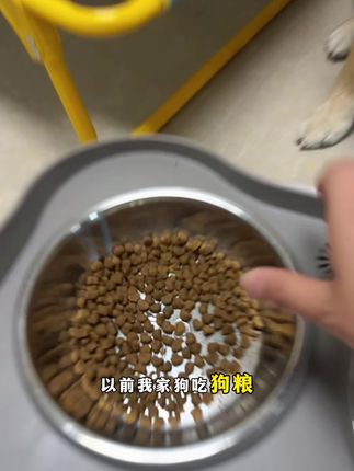 每天为挑食狗发愁?55%鲜肉软粮帮你轻松搞定!#狗粮 #软狗粮 #鲜肉软粮 #养狗人 #挑食狗狗