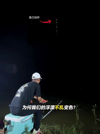 福翼双面OLED灯珠夜光漂316鲫鱼漂高灵敏细硬尾日夜两用电子漂