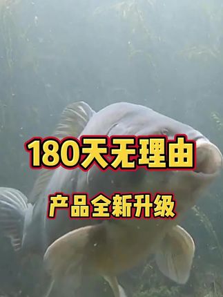 支持180天无理由退货,渔获翻倍用它,儿豁