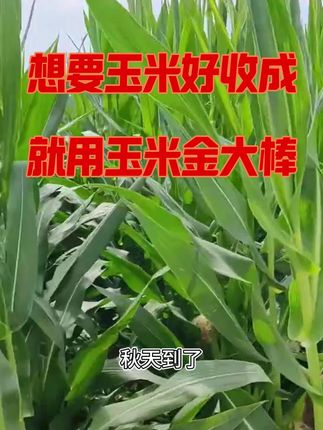 性价比高,没有中间商赚差价