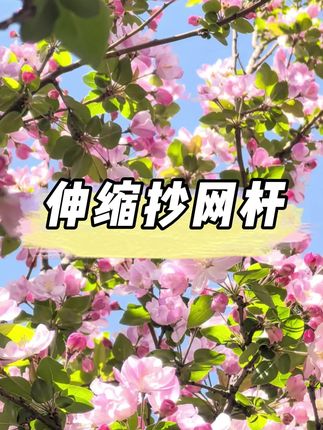 抄网杆超轻超硬抄网竿高碳素可伸缩大物抄网干竞技抄网可伸缩