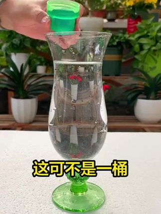 万能“营养 液”,烂根、黄叶别再愁!只需一瓶营养 液,轻松解决