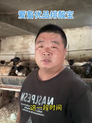 牛吐草团子吐草水,流口水就用#爱畜优舒排酸宝
