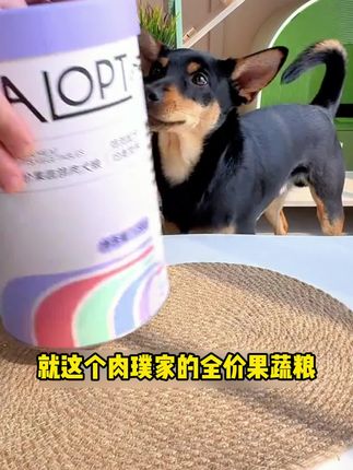 这个狗粮真挺好,有鲜肉有蔬菜有水果,营养均衡~ #狗粮 #挑食狗狗 #新手养狗
