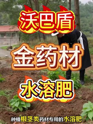 #沃巴盾金药材水溶肥
