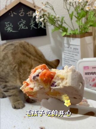 冻干猫零食羊奶鸡肉果蔬饼猫咪零食营养美毛成猫幼猫宠物零食猫粮