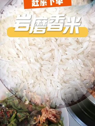 囤那么多货!还不是因为正宗的鱼米之乡的大米应季了!石家河土城珍米!