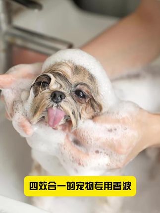 【宠物沐浴露】买对不买贵!真的很实惠,在家给宠物洗澡轻松搞定!