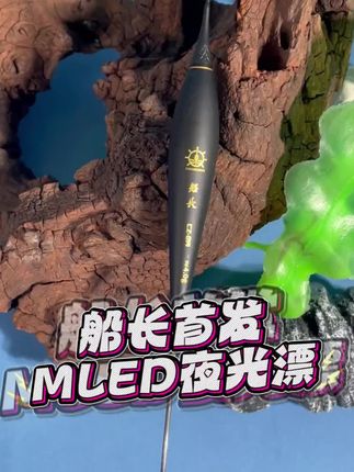 船长极光尾夜光漂黑坑行程浮漂LED玻纤硬尾日夜两用咬钩变色浮漂