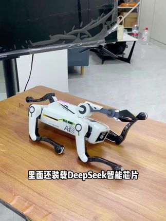 这机械狗太好玩了,送给孩子人生第一只机械狗可太有意义了