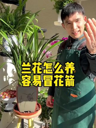 为什么说养花的尽头是兰花呢#养花#花卉#养花小知识 #兰花