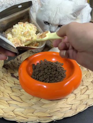 #蛋黄磷虾肉松冻干#养猫经验分享#猫零食#鸡肉#维生素