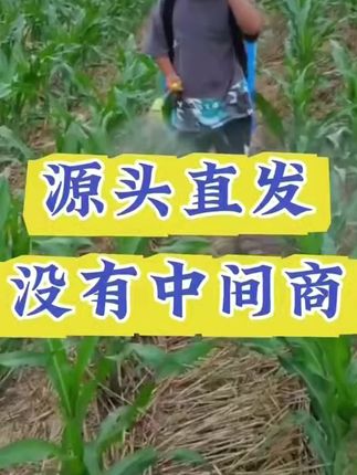 根腐抑制剂猝倒烂根茎基腐死棵僵苗快速壮根净化土壤抗病