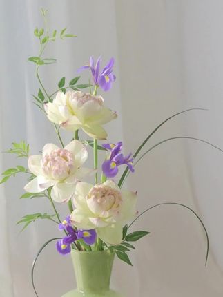 宇宙之下,烦恼如尘埃,这一刻似乎一切都不重要了,唯愿你感受生命的绚烂。