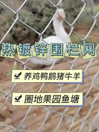热镀锌不生锈围栏网铁丝网钢丝网防锈加粗加厚户外养殖牛羊护栏防护网圈地鱼塘果园防护防投防狗笼养鸡养鸭围网栅栏