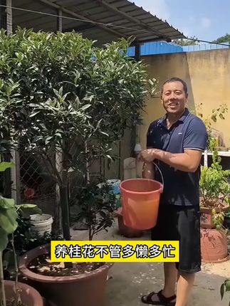 新手小白养植物,一定要认识这植物的常见求救信号,收藏起来对照看,帮助花草茁壮成长 #植物养护