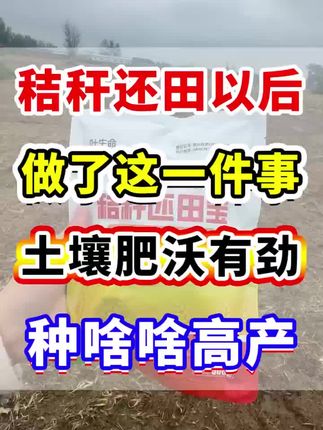 秸秆还田方式与注意事项详解-