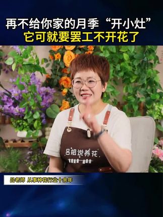 月季玫瑰很贪吃,你头一步做不对,后面再勤快的修剪浇水都白费!#花卉绿植 #爱生活爱养花 #养花人的乐趣 #养花小知识