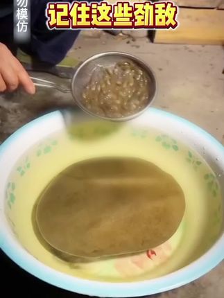家里有小飞虫,地漏,洗菜池下水慢堵塞的,赶紧试试#管道疏通泡泡粉,好用不贵,再也不用花钱请疏通师傅了!