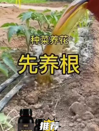 猛生根剂猛生根氨基酸水溶肥果树蔬菜花卉促进生根农资生根粉肥料