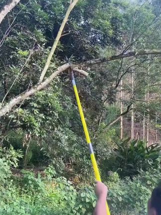 #修剪树枝 #园林工具 #果树修剪 #手工锯#绿化修剪