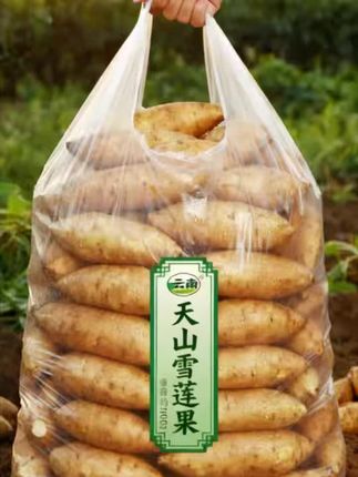 #云南天山雪莲果 #雪莲果 #优质农产品 #营养丰富 #脆甜多汁 #快来一起尝个鲜
