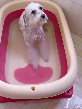 买就送洗澡刷!猫狗除螨留香双效养护