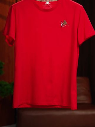香港正品保罗,防伪可查,男士高档t恤,好穿不贵,显年轻!