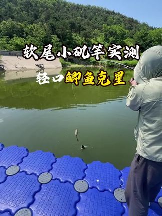 2025新款软尾小矶钓竿筏竿岸抛桥钓鱼竿套装全套软尾钓鱼竿鲫鱼黄辣丁排钓鱼竿手海两用钓鱼竿小海杆抛竿远投小爆炸矶钓