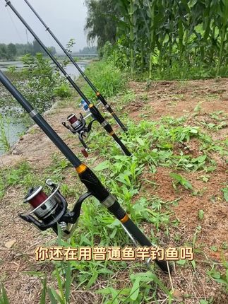2025新款软尾小矶竿矶钓竿岸抛筏竿套装远投海杆抛竿串钩伐钓鱼竿滑漂阀杆