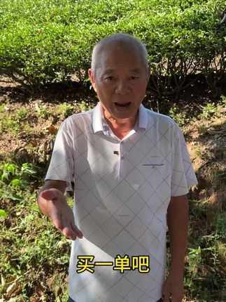 【不满意随便退试喝试泡】一次品鉴十种不同口味的茗茶!