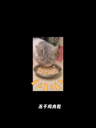 【纯鸡肉】鸡胸肉冻干宠物零食冻干猫狗通用增肥发腮营养