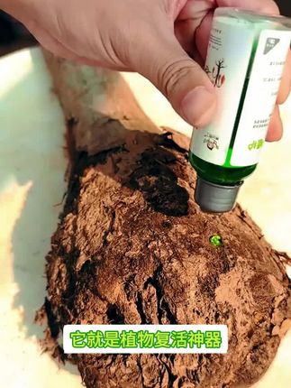 植物复活液,激发植物枝干根系生长活力,促生新根新芽。光杆黄叶落叶的绿植花卉都可以试一试!