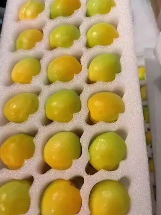 这么好吃的大甜杏,你肯定没尝过!好吃到停不下来!酸酸甜甜好味道#大黄杏#大接杏#大红杏#杏子
