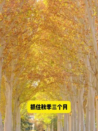 给宝宝补钙,一定要是这个#滋养森林海藻钙,每天一颗保证营养不流失,快给你家宝宝安排上吧!#液体钙#母婴好物