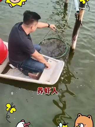 对虾空场空胃、大小不一、慢料不吃料、活力差赶紧用上它#对虾#南美白对虾#罗氏沼虾#养虾人#土塘养虾#小棚虾#水产养殖