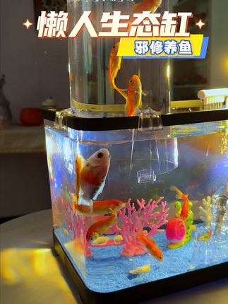 您可别忽视了负压缸,悬空效果是你的视觉奇观