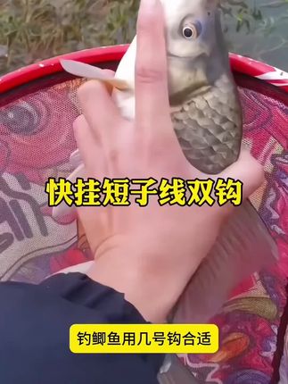 快挂短子线双钩8厘米成品防缠绕土鲮鱼梅州钓法新关东伊势尼鱼钩
