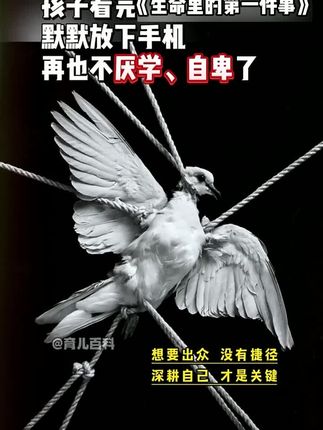 孩子的成长过程,都应该有本生命里的第一课,实例分析孩子实际问题,给出解决方案正面引导孩子#父母课堂#育儿