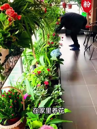 园艺骨粉#骨粉肥料 #园艺专用骨粉 #花骨粉肥料 #花卉种菜专用骨粉