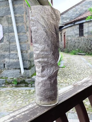 可以水培土培的兰花,好看又大气,你确定不养一颗吗??
