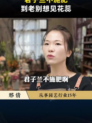 每盆花都插一下, 用不了多久花苞蹭蹭冒#养花#花卉绿植