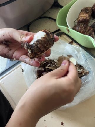 正宗金华红芽芋头产地直发现挖芋头种子芋头新鲜香芋软糯小香芋