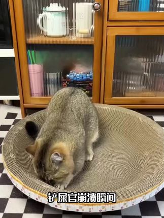 猫笼专用猫抓板!剑麻 + 藤编双材质,方形碗形可选防抓护笼,猫咪磨爪超尽兴
