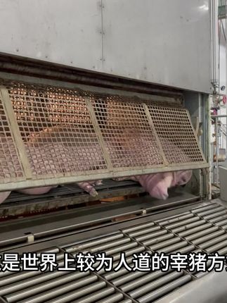 “吃一口就沦陷!”纯猪肉烤肠来了,香到想原地摆摊!